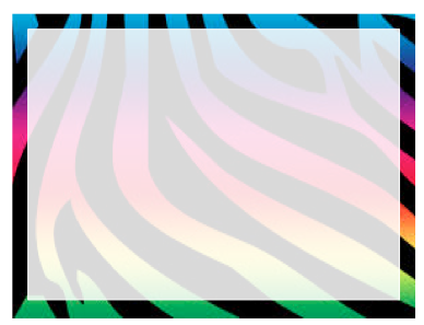Note Cards - rainbow zebra v3